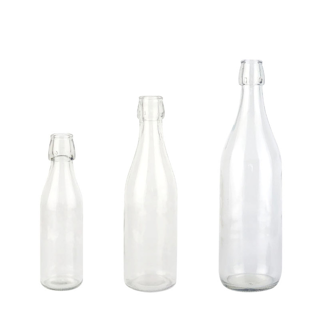 Glass Water Bottle with Flip Lid