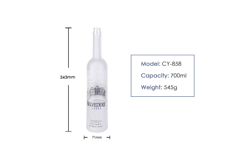 700ml Liquor Glass Bottle CY-858-Product size