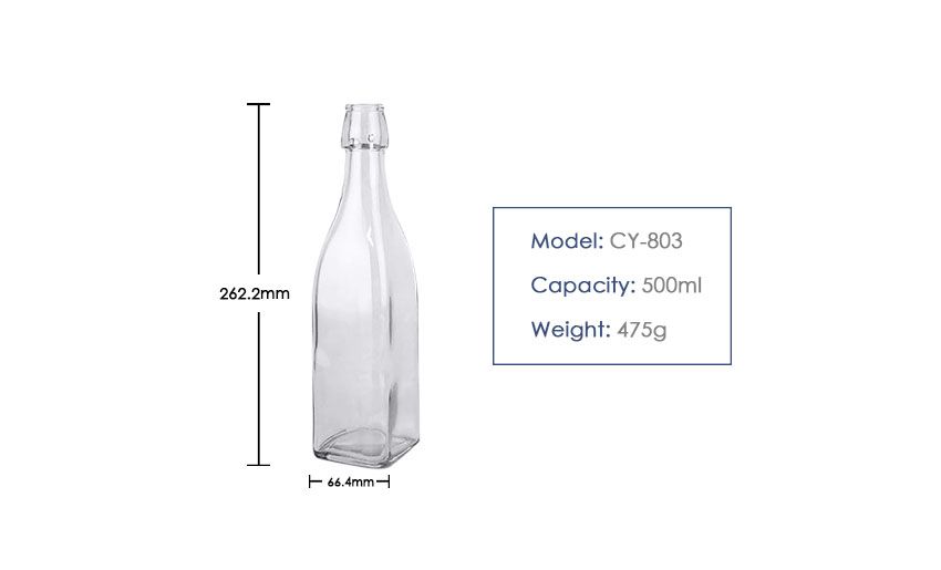 500ml Beverage Bottle CY-803-Product size